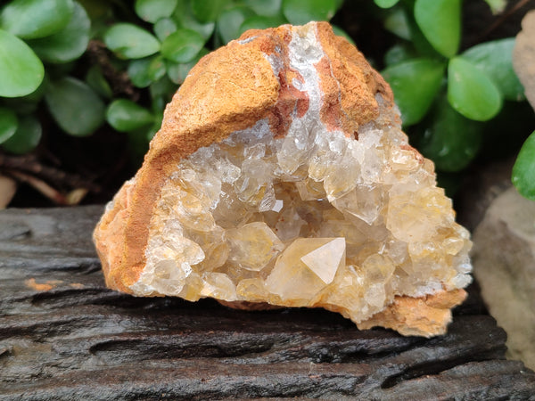 Natural Limonite Quartz Geodes x 12 From Solwezi, Zambia