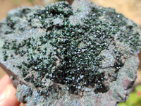 Natural Libethenite Crystals On Dolomite Matrix Specimens x 3 From Shituru, Congo