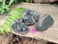 Natural Libethenite Crystals On Dolomite Matrix Specimens x 3 From Shituru, Congo