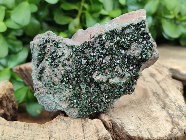 Natural Libethenite Crystals On Dolomite Matrix Specimens x 3 From Shituru, Congo