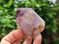 Polished Window Amethyst Quartz Crystals x 6 From Akansobe, Madagascar