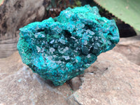 Natural Dioptase Cabinet Specimen x 1 From Reneville Brazzaville, Congo