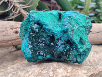 Natural Dioptase Cabinet Specimen x 1 From Reneville Brazzaville, Congo