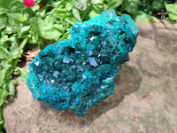 Natural Dioptase Cabinet Specimen x 1 From Reneville Brazzaville, Congo