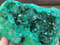 Natural Dioptase Cabinet Specimen x 1 From Reneville Brazzaville, Congo