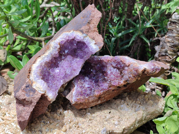 Natural Zululand Amethyst Geodes x 2 from Jozini, South Africa