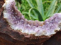 Natural Zululand Amethyst Geodes x 2 from Jozini, South Africa