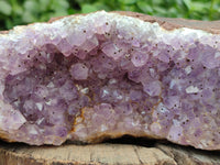 Natural Zululand Amethyst Geodes x 2 from Jozini, South Africa