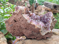 Natural Zululand Amethyst Geodes x 2 from Jozini, South Africa