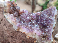 Natural Zululand Amethyst Geodes x 2 from Jozini, South Africa