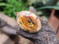 Polished Picture Stone Oval Pendant with Hand Painted Lion - Sold Per Item - From Namibia