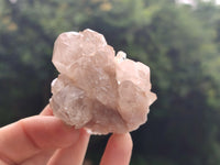 Natural Smokey Phantom Quartz Clusters x 12 From Luena, Congo