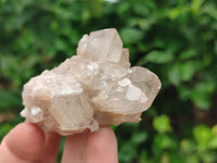 Natural Smokey Phantom Quartz Clusters x 12 From Luena, Congo