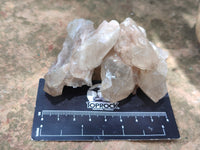 Natural Smokey Phantom Quartz Clusters x 12 From Luena, Congo