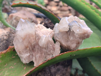 Natural Smokey Phantom Quartz Clusters x 12 From Luena, Congo