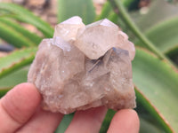 Natural Smokey Phantom Quartz Clusters x 12 From Luena, Congo