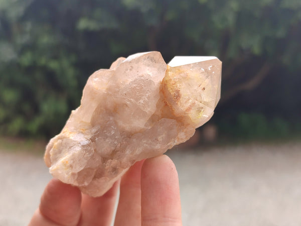 Natural Smokey Phantom Quartz Clusters x 12 From Luena, Congo