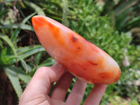 Polished Carnelian Standing Free Forms x 3 From Madagascar