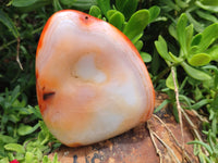 Polished Carnelian Standing Free Forms x 3 From Madagascar