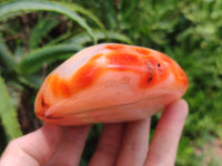 Polished Carnelian Standing Free Forms x 3 From Madagascar