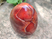 Polished Carnelian Standing Free Forms x 3 From Madagascar