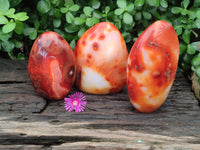 Polished Carnelian Standing Free Forms x 3 From Madagascar