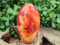 Polished Carnelian Standing Free Forms x 3 From Madagascar