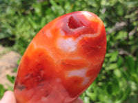 Polished Carnelian Standing Free Forms x 3 From Madagascar