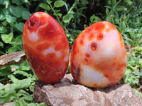 Polished Carnelian Standing Free Forms x 3 From Madagascar