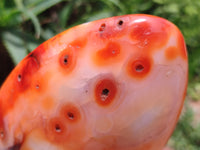 Polished Carnelian Standing Free Forms x 3 From Madagascar