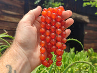 Polished Carnelian Agate Beaded Necklace - Sold per Item - From Brazil