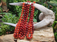 Polished Carnelian Agate Beaded Necklace - Sold per Item - From Brazil