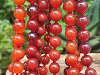 Polished Carnelian Agate Beaded Necklace - Sold per Item - From Brazil