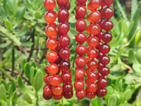 Polished Carnelian Agate Beaded Necklace - Sold per Item - From Brazil