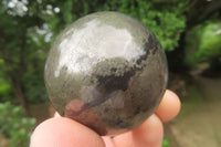 Polished Pharaoh Stone Spheres x 3 From Zimbabwe