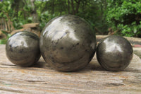 Polished Pharaoh Stone Spheres x 3 From Zimbabwe