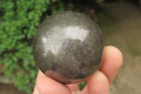 Polished Pharaoh Stone Spheres x 3 From Zimbabwe