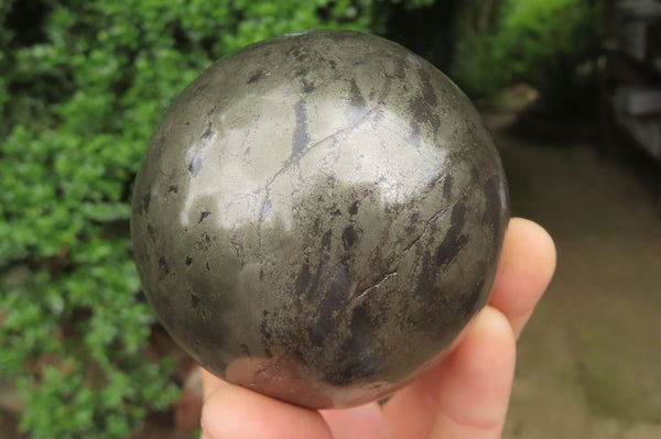 Polished Pharaoh Stone Spheres x 3 From Zimbabwe