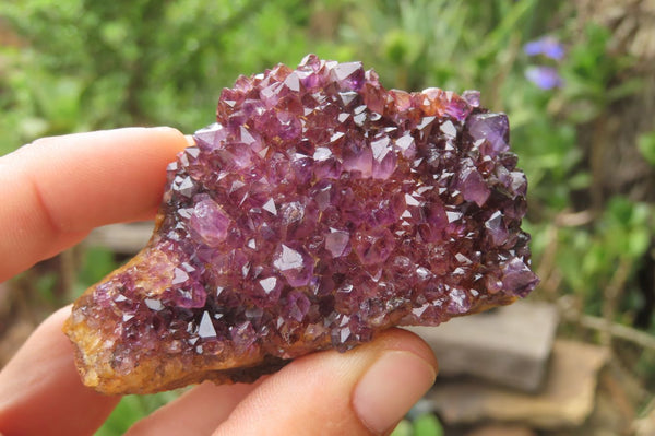 Natural Amethystos Amethyst Clusters x 12 From Kwaggafontein, South Africa