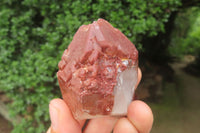 Natural Red Hematoid Quartz Clusters x 6 From Karoi, Zimbabwe