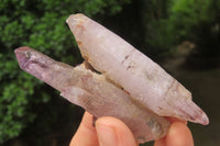 Natural Chiredzi Amethyst Conglomerate Specimens x 6 From Chiredzi, Zimbabwe