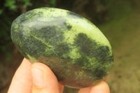 Polished Leopard Stone Palm Stones x 6 From Zimbabwe