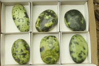 Polished Leopard Stone Palm Stones x 6 From Zimbabwe