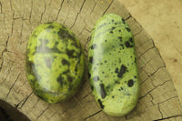 Polished Leopard Stone Palm Stones x 6 From Zimbabwe