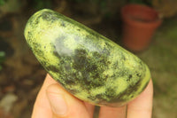 Polished Leopard Stone Palm Stones x 6 From Zimbabwe