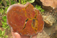 Polished Iron Agate Nodule Pair x 1 From Northern Cape, South Africa