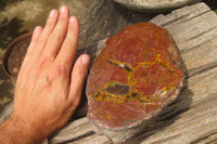 Polished Iron Agate Nodule Pair x 1 From Northern Cape, South Africa