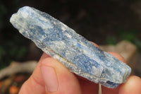 Natural Kyanite Crystal Specimens x 1.9 Kg Lot From Zimbabwe