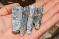 Natural Kyanite Crystal Specimens x 1.9 Kg Lot From Zimbabwe