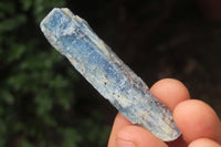 Natural Kyanite Crystal Specimens x 1.9 Kg Lot From Zimbabwe